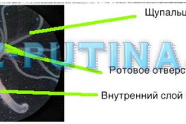 Кракен вход зеркало