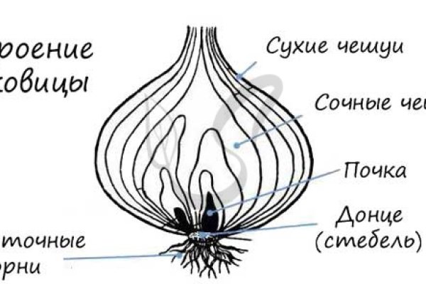 Ссылки на дарк нет